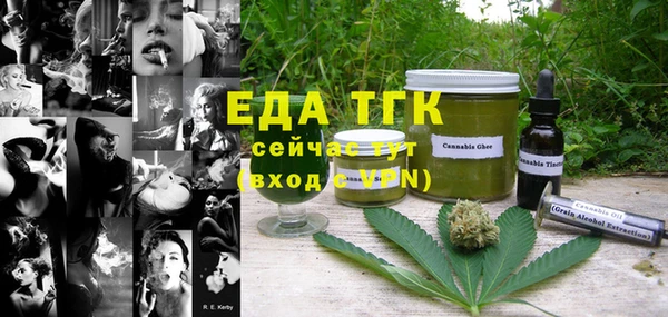 хмурый Бородино