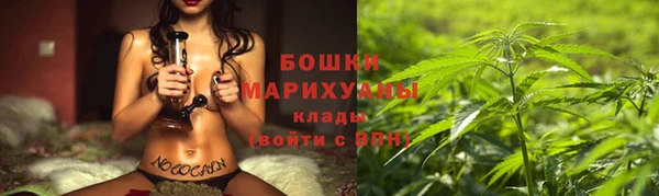 хмурый Бородино