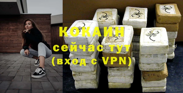 хмурый Бородино