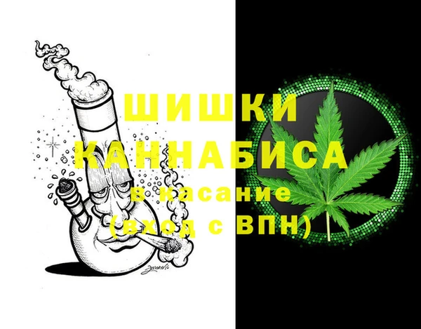 хмурый Бородино