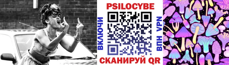 блэк спрут ТОР  Тюмень  Галлюциногенные грибы прущие грибы  как найти наркотики 